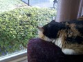 2012-04-13_07-33-38_521_fs