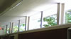 Sunshine Window Cleaning Services: Commercial and Residential: Image