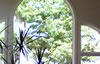 Sunshine Window Cleaning Services: Commercial and Residential: Image