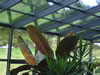 Sunshine Window Cleaning Services: Commercial and Residential: Image